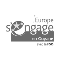 logoFSE-sitePS