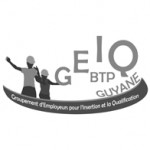 logogeiq-sitePS