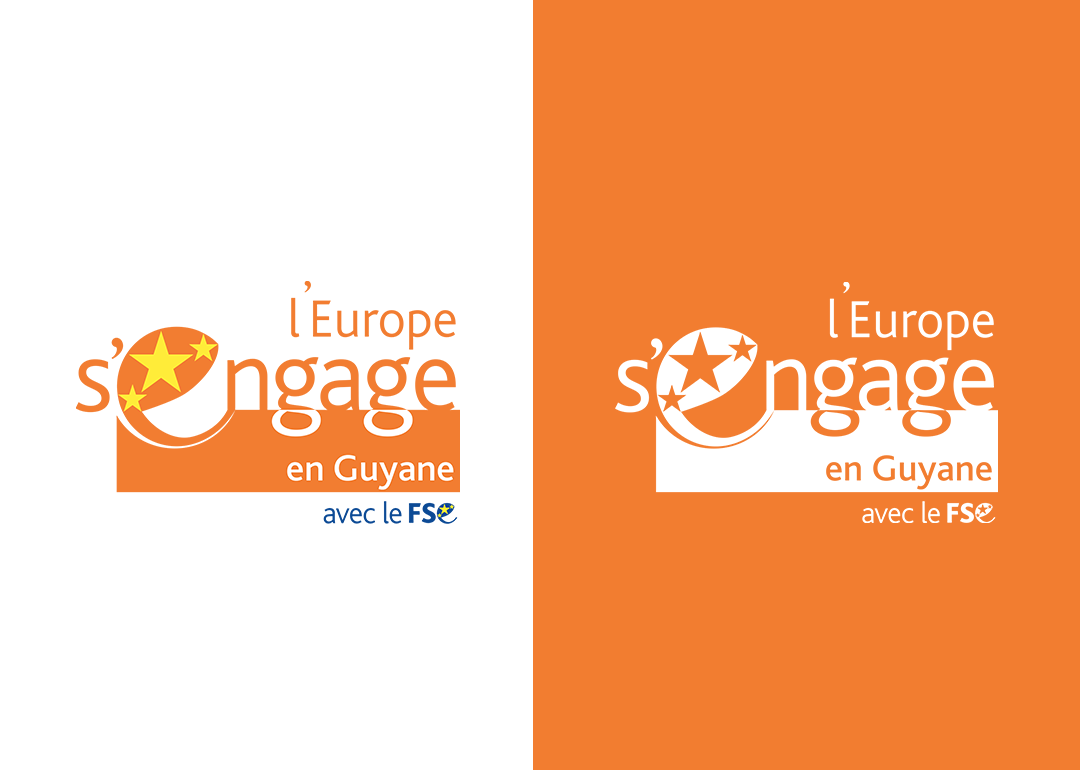 Logo-OrangeBLANC-BlancORANGE--FSE