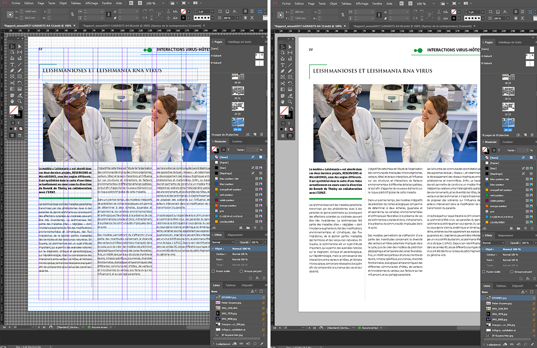 screen-indesign Montage 2